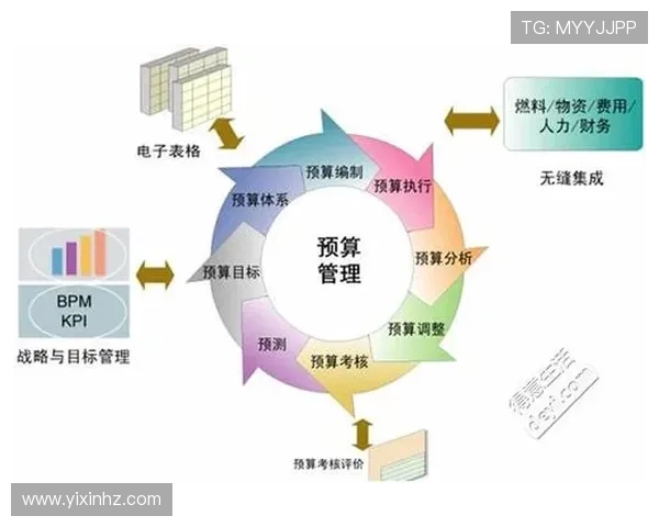 武汉排球队战术解析：从技术细节到团队协作的全面探讨