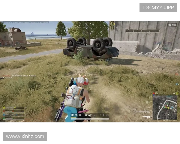 LinShu绝地求生策略全解析技巧分享助你成为吃鸡高手